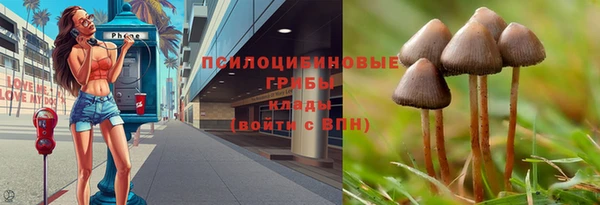 тгк Иннополис