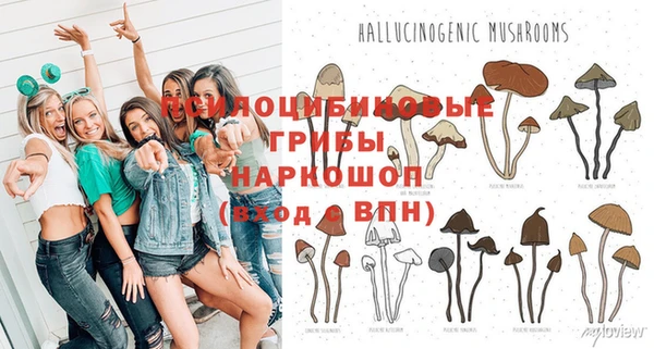 таблы Инсар