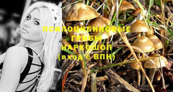 тгк Иннополис