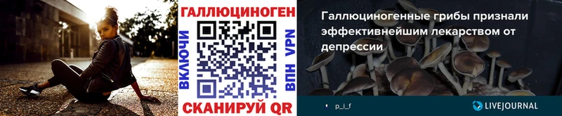 Галлюциногенные грибы прущие грибы  Купить где  Большой Камень 